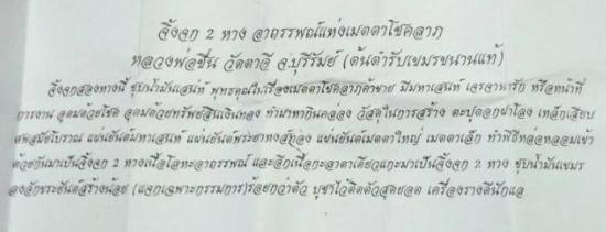 รูปจิ้งจก 2 หางมหาลาภ เนื้อโลหะ ชุบน้ำมันเสน่ห์ หลวงปู่ชื่น ปี 2545 | จิ้งจกสองหาง,เครื่องรางจิ้งจกสองหาง,จิ้งจก 2 หาง ของแท้,จิ้งจกสองหาง เรียกทรัพย์,จิ้งจกสองห